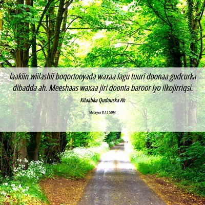 Picture 06 - Matayos 8:12 SOM - laakiin wiilashii boqortooyada waxaa lagu tuuri - Bible Verse Picture