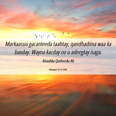 Picture 06 - Matayos 8:15 SOM - Markaasuu gacanteeda taabtay, qandhadiina waa ka - Bible Verse Picture