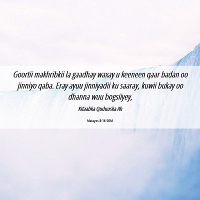 Picture 06 - Matayos 8:16 SOM - Goortii makhribkii la gaadhay waxay u keeneen - Bible Verse Picture