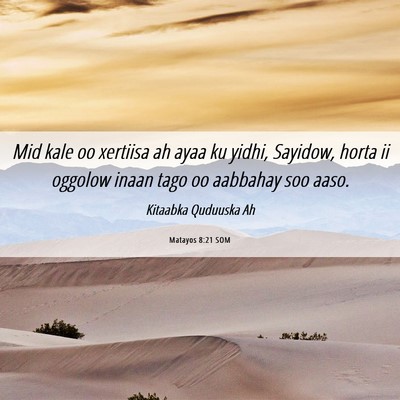 Picture 06 - Matayos 8:21 SOM - Mid kale oo xertiisa ah ayaa ku yidhi, Sayidow, - Bible Verse Picture