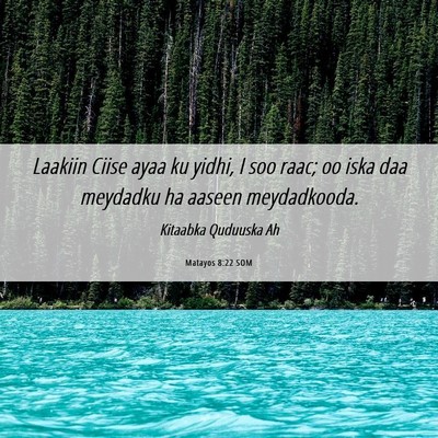 Picture 06 - Matayos 8:22 SOM - Laakiin Ciise ayaa ku yidhi, I soo raac; oo iska - Bible Verse Picture