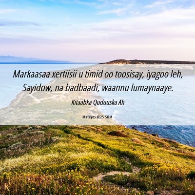 Picture 06 - Matayos 8:25 SOM - Markaasaa xertiisii u timid oo toosisay, iyagoo - Bible Verse Picture