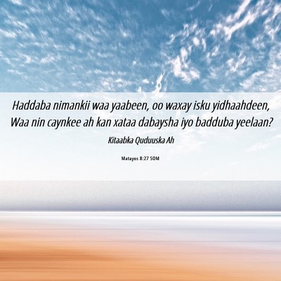 Picture 06 - Matayos 8:27 SOM - Haddaba nimankii waa yaabeen, oo waxay isku - Bible Verse Picture