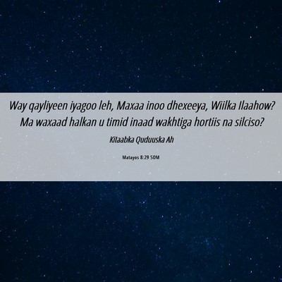 Picture 06 - Matayos 8:29 SOM - Way qayliyeen iyagoo leh, Maxaa inoo dhexeeya, - Bible Verse Picture