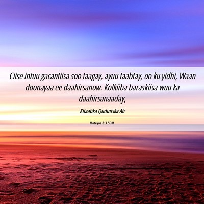 Picture 06 - Matayos 8:3 SOM - Ciise intuu gacantiisa soo taagay, ayuu taabtay, - Bible Verse Picture