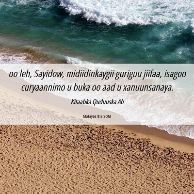 Picture 06 - Matayos 8:6 SOM - oo leh, Sayidow, midiidinkaygii guriguu jiifaa, - Bible Verse Picture
