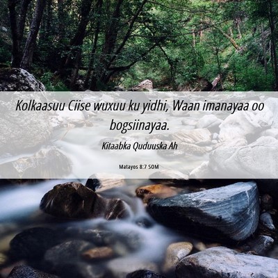 Picture 06 - Matayos 8:7 SOM - Kolkaasuu Ciise wuxuu ku yidhi, Waan imanayaa oo - Bible Verse Picture