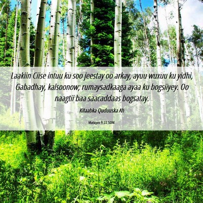 Picture 06 - Matayos 9:22 SOM - Laakiin Ciise intuu ku soo jeestay oo arkay, ayuu - Bible Verse Picture