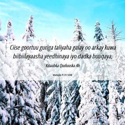 Picture 06 - Matayos 9:23 SOM - Ciise goortuu guriga taliyaha galay oo arkay kuwa - Bible Verse Picture