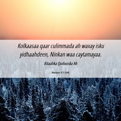 Picture 06 - Matayos 9:3 SOM - Kolkaasaa qaar culimmada ah waxay isku - Bible Verse Picture
