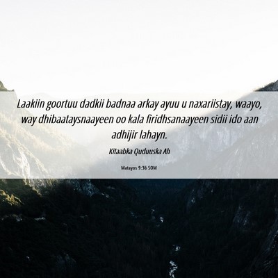Picture 06 - Matayos 9:36 SOM - Laakiin goortuu dadkii badnaa arkay ayuu u - Bible Verse Picture