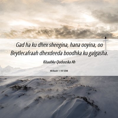 Picture 06 - Miikaah 1:10 SOM - Gad ha ku dhex sheegina, hana ooyina, oo - Bible Verse Picture