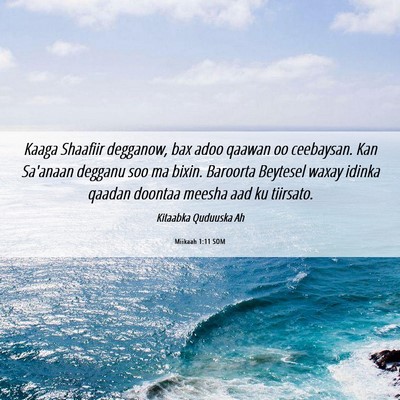 Picture 06 - Miikaah 1:11 SOM - Kaaga Shaafiir degganow, bax adoo qaawan oo - Bible Verse Picture