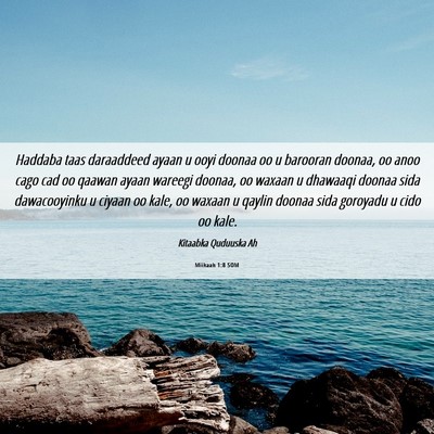 Picture 06 - Miikaah 1:8 SOM - Haddaba taas daraaddeed ayaan u ooyi doonaa oo u - Bible Verse Picture