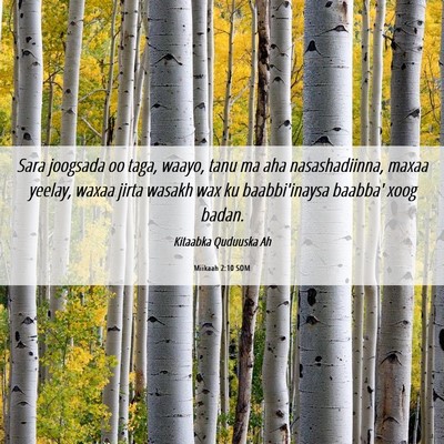 Picture 06 - Miikaah 2:10 SOM - Sara joogsada oo taga, waayo, tanu ma aha - Bible Verse Picture