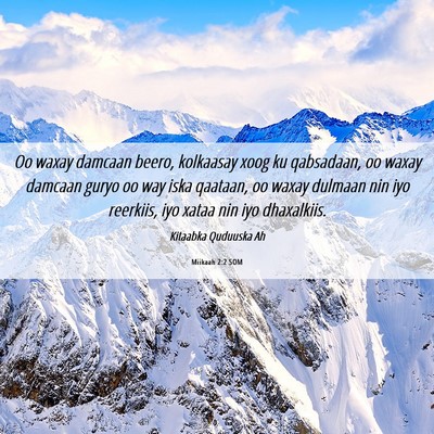 Picture 06 - Miikaah 2:2 SOM - Oo waxay damcaan beero, kolkaasay xoog ku - Bible Verse Picture