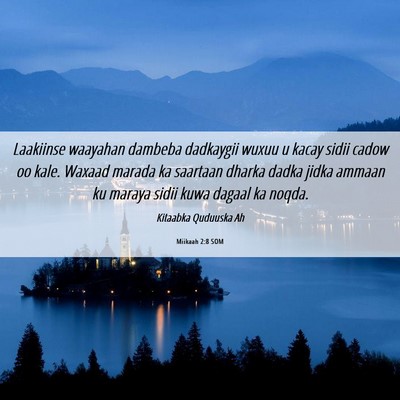 Picture 06 - Miikaah 2:8 SOM - Laakiinse waayahan dambeba dadkaygii wuxuu u - Bible Verse Picture