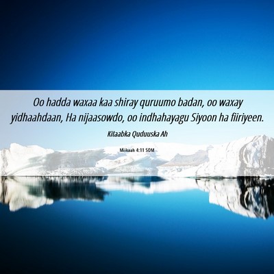 Picture 06 - Miikaah 4:11 SOM - Oo hadda waxaa kaa shiray quruumo badan, oo waxay - Bible Verse Picture