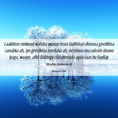 Picture 06 - Miikaah 4:4 SOM - Laakiinse ninkood waluba wuxuu hoos fadhiisan - Bible Verse Picture