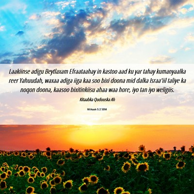 Picture 06 - Miikaah 5:2 SOM - Laakiinse adigu Beytlaxam Efraataahay in kastoo - Bible Verse Picture