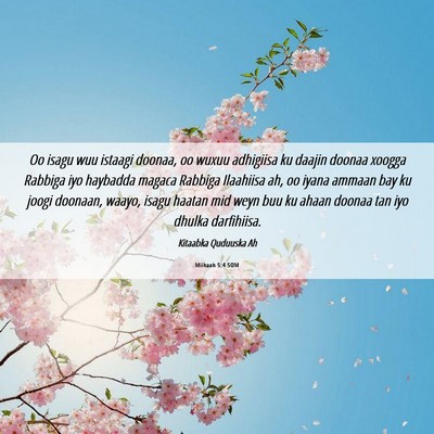 Picture 06 - Miikaah 5:4 SOM - Oo isagu wuu istaagi doonaa, oo wuxuu adhigiisa - Bible Verse Picture