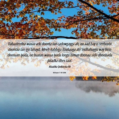 Picture 06 - Miikaah 7:10 SOM - Dabadeedna waxaa arki doonta tan cadowgayga ah, - Bible Verse Picture