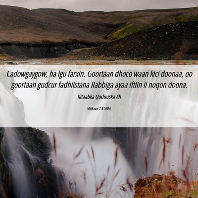 Picture 06 - Miikaah 7:8 SOM - Cadowgaygow, ha igu farxin. Goortaan dhoco waan - Bible Verse Picture