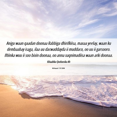 Picture 06 - Miikaah 7:9 SOM - Anigu waan qaadan doonaa Rabbiga dhirifkiisa, - Bible Verse Picture
