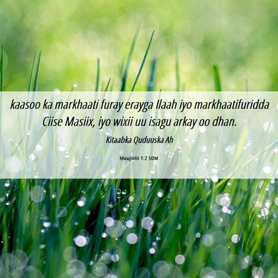 Picture 06 - Muujintii 1:2 SOM - kaasoo ka markhaati furay erayga Ilaah iyo - Bible Verse Picture
