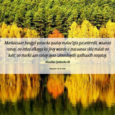 Picture 06 - Muujintii 10:10 SOM - Markaasaan buuggii yaraa ka qaatay malaa'igta - Bible Verse Picture