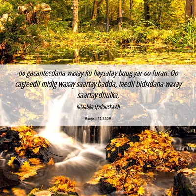 Picture 06 - Muujintii 10:2 SOM - oo gacanteedana waxay ku haysatay buug yar oo - Bible Verse Picture