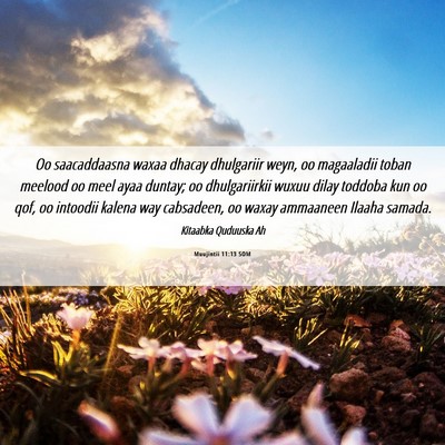 Picture 06 - Muujintii 11:13 SOM - Oo saacaddaasna waxaa dhacay dhulgariir weyn, oo - Bible Verse Picture