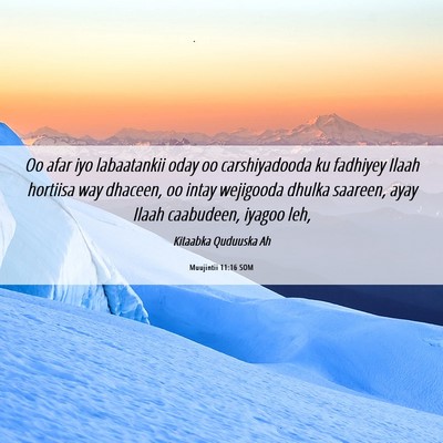 Picture 06 - Muujintii 11:16 SOM - Oo afar iyo labaatankii oday oo carshiyadooda ku - Bible Verse Picture