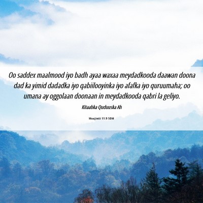 Picture 06 - Muujintii 11:9 SOM - Oo saddex maalmood iyo badh ayaa waxaa - Bible Verse Picture
