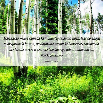 Picture 06 - Muujintii 12:1 SOM - Markaasaa waxaa samada ka muuqatay calaamo weyn, - Bible Verse Picture