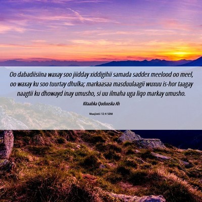 Picture 06 - Muujintii 12:4 SOM - Oo dabadiisiina waxay soo jiidday xiddigihii - Bible Verse Picture