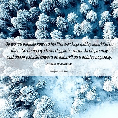 Picture 06 - Muujintii 13:12 SOM - Oo wuxuu bahalkii kowaad hortiisa wax kaga qabtay - Bible Verse Picture