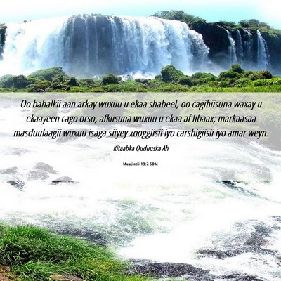 Picture 06 - Muujintii 13:2 SOM - Oo bahalkii aan arkay wuxuu u ekaa shabeel, oo - Bible Verse Picture