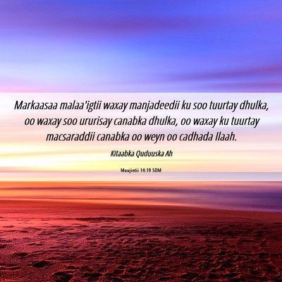 Picture 06 - Muujintii 14:19 SOM - Markaasaa malaa'igtii waxay manjadeedii ku soo - Bible Verse Picture