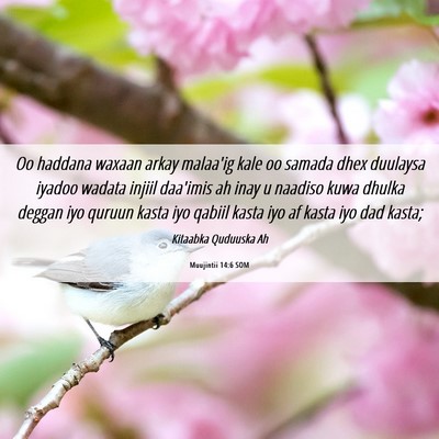 Picture 06 - Muujintii 14:6 SOM - Oo haddana waxaan arkay malaa'ig kale oo samada - Bible Verse Picture