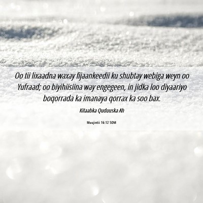 Picture 06 - Muujintii 16:12 SOM - Oo tii lixaadna waxay fijaankeedii ku shubtay - Bible Verse Picture