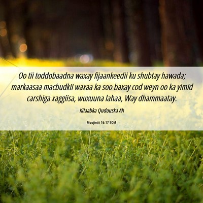 Picture 06 - Muujintii 16:17 SOM - Oo tii toddobaadna waxay fijaankeedii ku shubtay - Bible Verse Picture