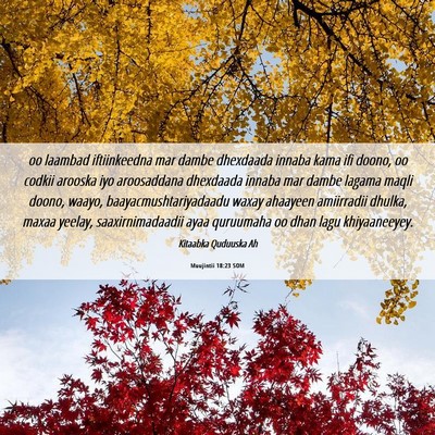Picture 06 - Muujintii 18:23 SOM - oo laambad iftiinkeedna mar dambe dhexdaada - Bible Verse Picture