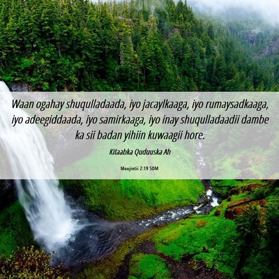 Picture 06 - Muujintii 2:19 SOM - Waan ogahay shuqulladaada, iyo jacaylkaaga, iyo - Bible Verse Picture