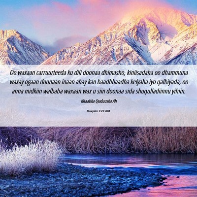 Picture 06 - Muujintii 2:23 SOM - Oo waxaan carruurteeda ku dili doonaa dhimasho, - Bible Verse Picture