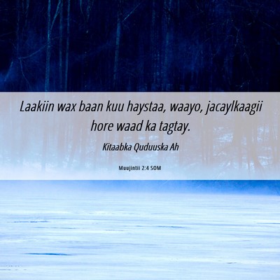 Picture 06 - Muujintii 2:4 SOM - Laakiin wax baan kuu haystaa, waayo, jacaylkaagii - Bible Verse Picture