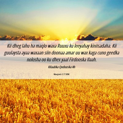 Picture 06 - Muujintii 2:7 SOM - Kii dheg lahu ha maqlo waxa Ruuxu ku leeyahay - Bible Verse Picture