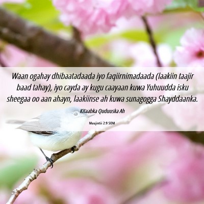 Picture 06 - Muujintii 2:9 SOM - Waan ogahay dhibaatadaada iyo faqiirnimadaada - Bible Verse Picture