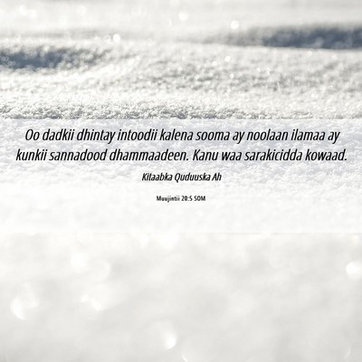Picture 06 - Muujintii 20:5 SOM - Oo dadkii dhintay intoodii kalena sooma ay - Bible Verse Picture