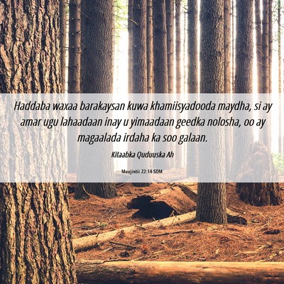 Picture 06 - Muujintii 22:14 SOM - Haddaba waxaa barakaysan kuwa khamiisyadooda - Bible Verse Picture